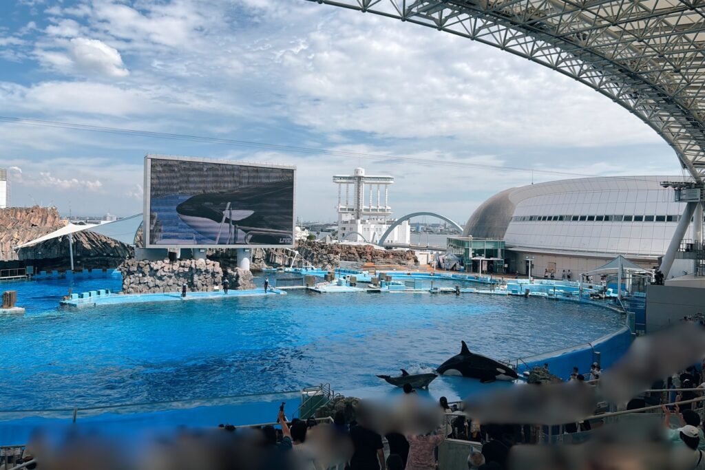 名古屋港水族館 イルカショーの会場(1歳・3歳連れ)
