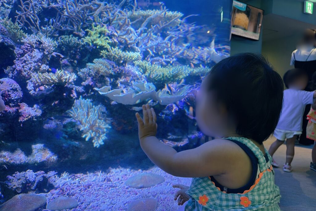 名古屋港水族館 大きくてカラフルな魚の水槽(1歳・3歳連れ)